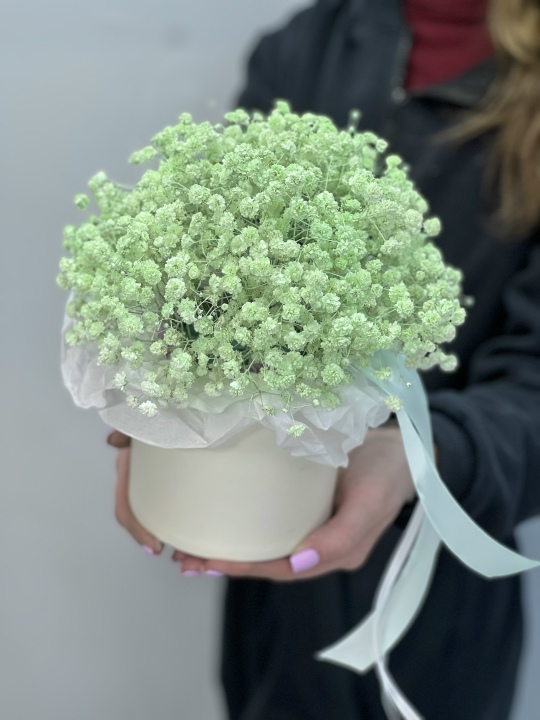 Коробочка с мятной гипсофилой