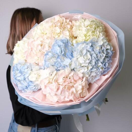 Облако гортензией 