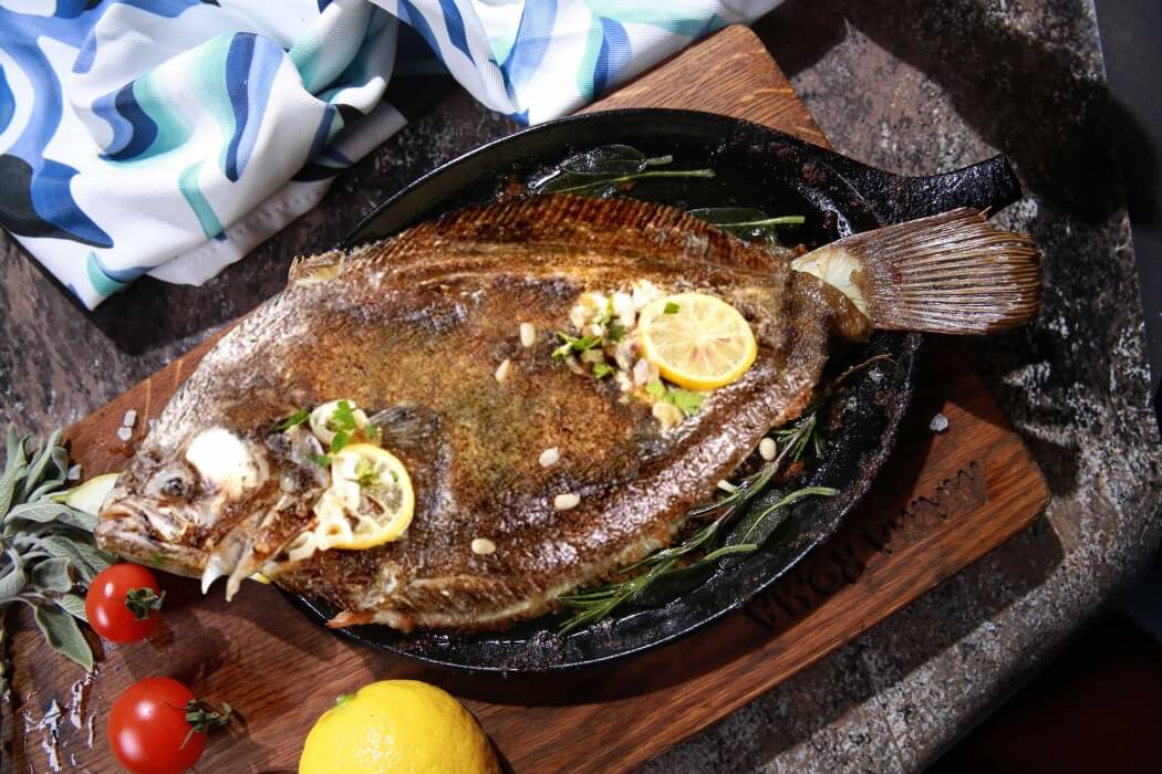 Камбала Turbot
