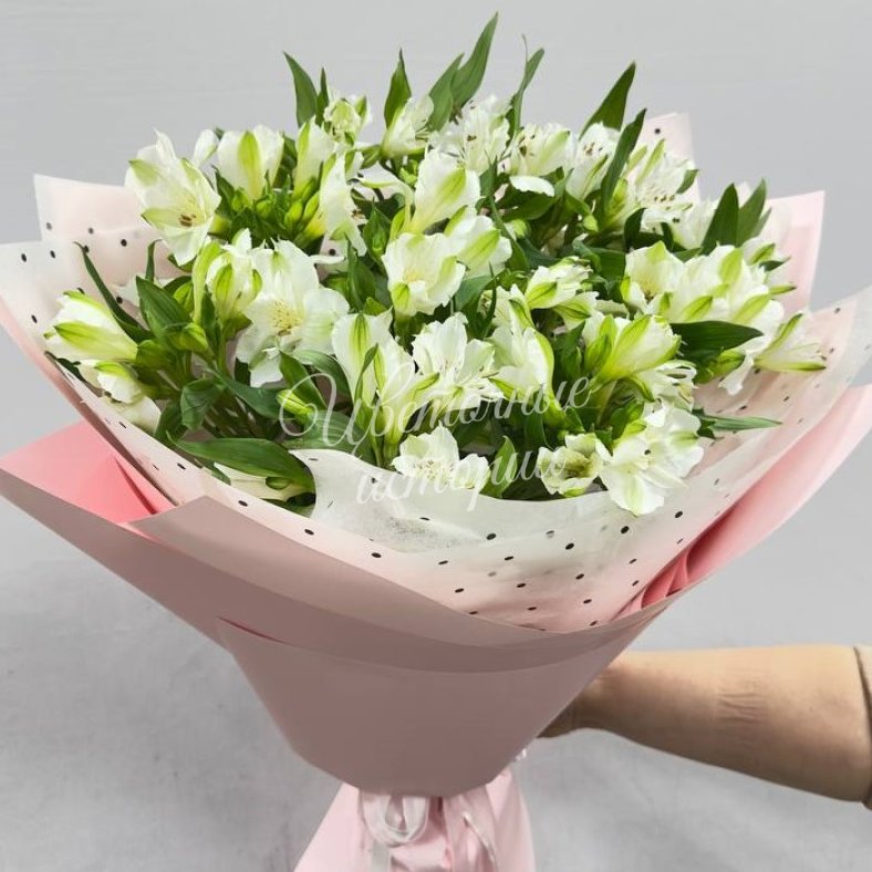 Альстромерии