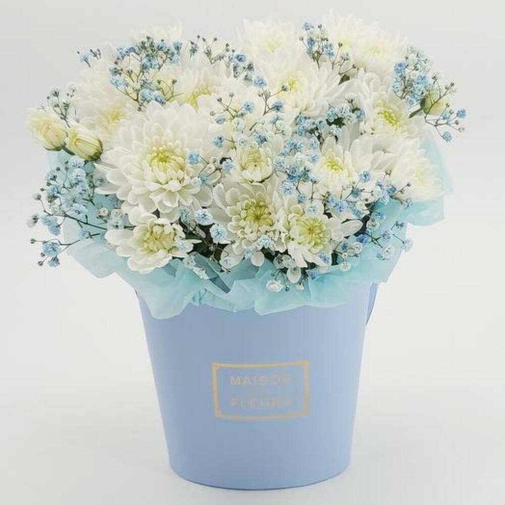 Нежная коробка с хризантемой и гипсофилой