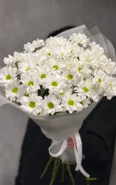 Моно букет из 7 белых кустовых хризантем