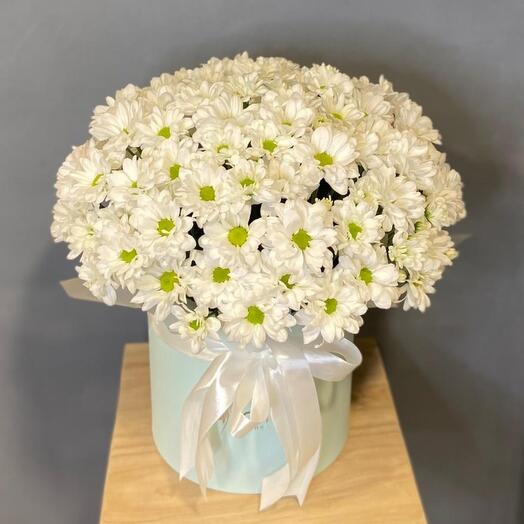 Ромашки в шляпной коробке