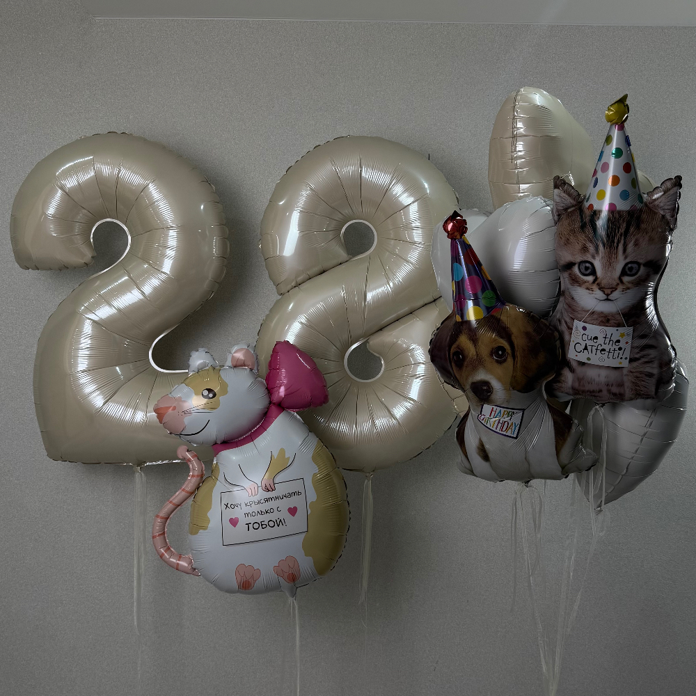 Любые цифры 2шт, фонтан из шариков с Щенком и Котёнком, Крыска