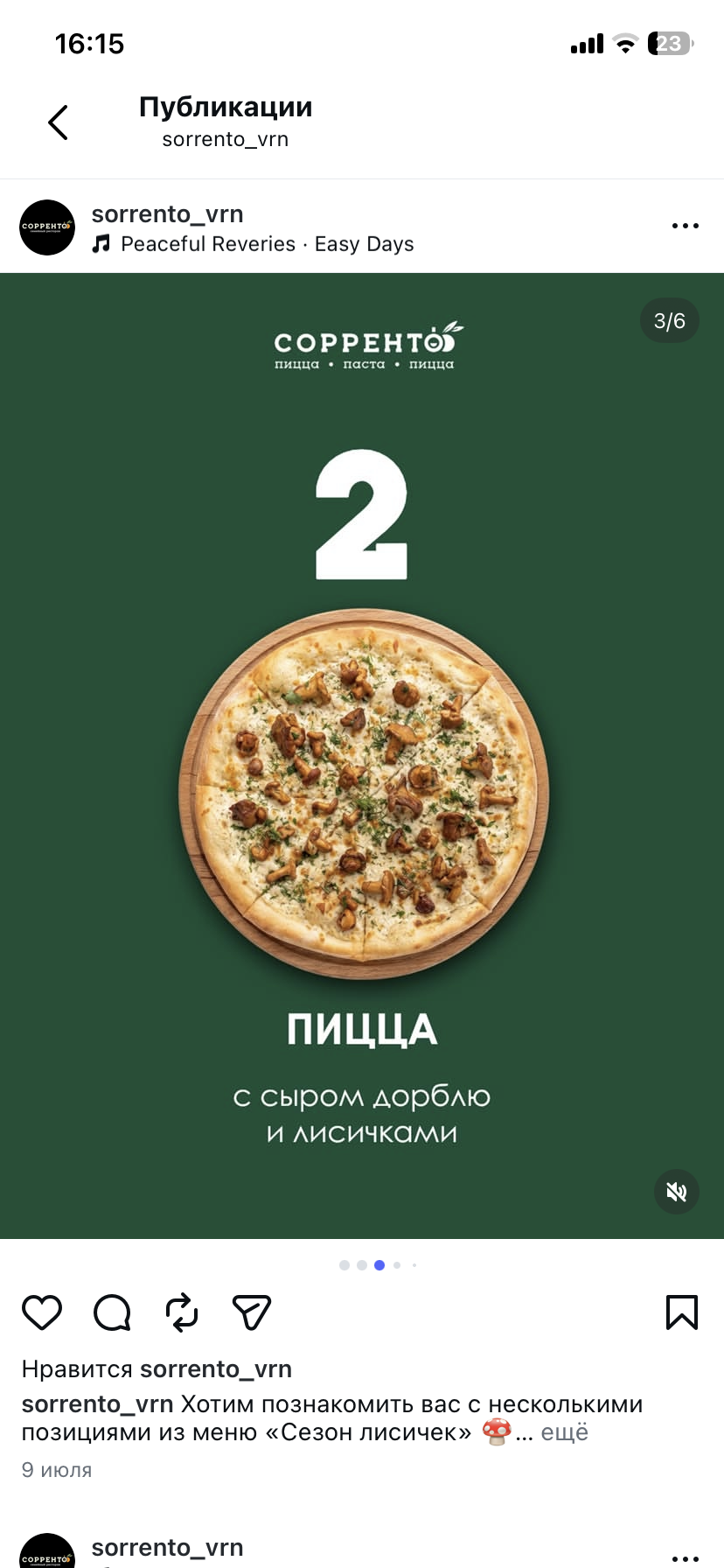 Пицца с сыром дорблю и лисичками