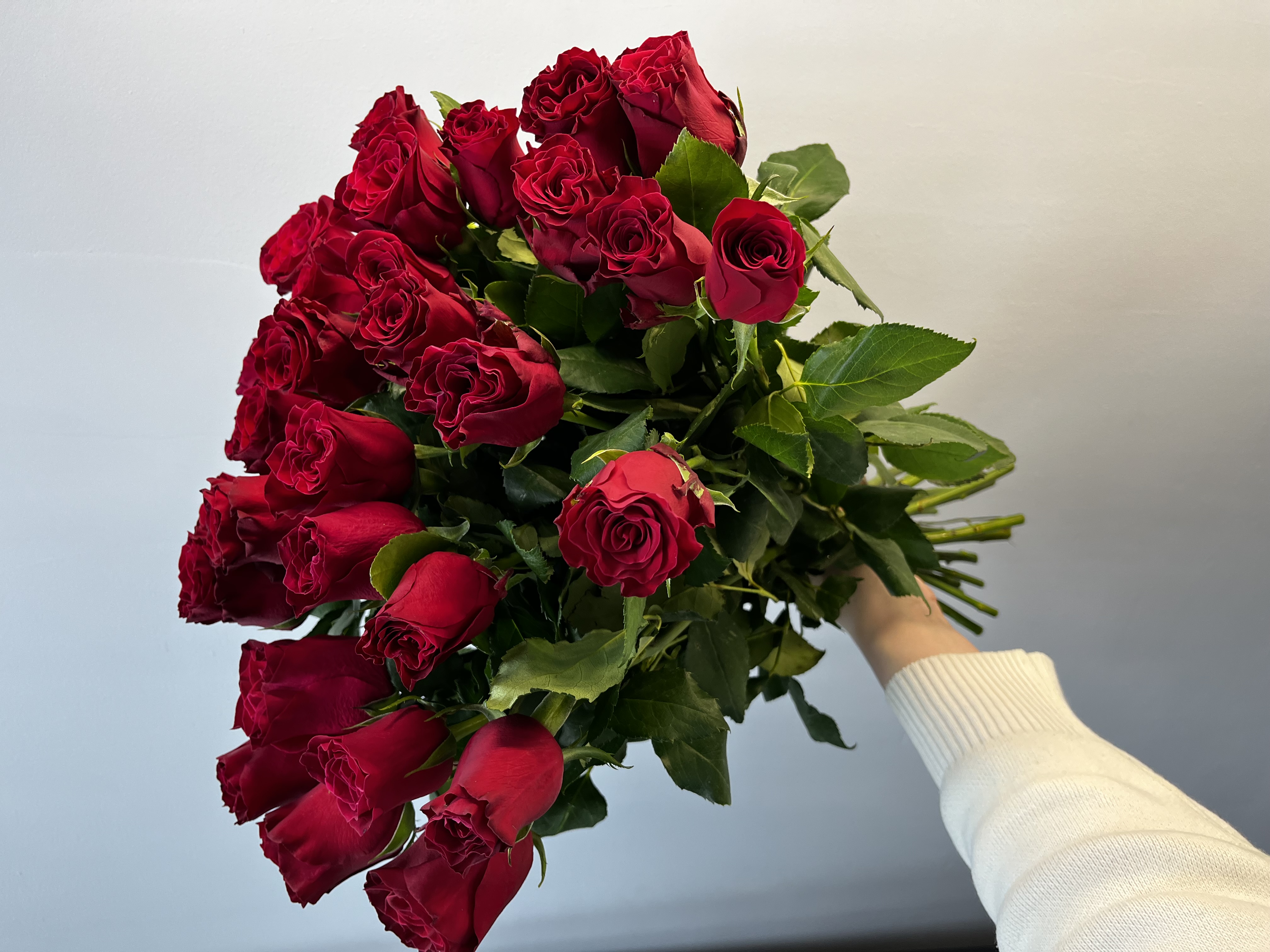 35 роз 50 см под лентой