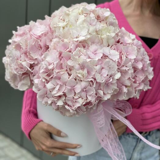 Цветы в коробке облако гортензий 