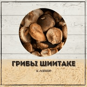 Грибы Шиитаке