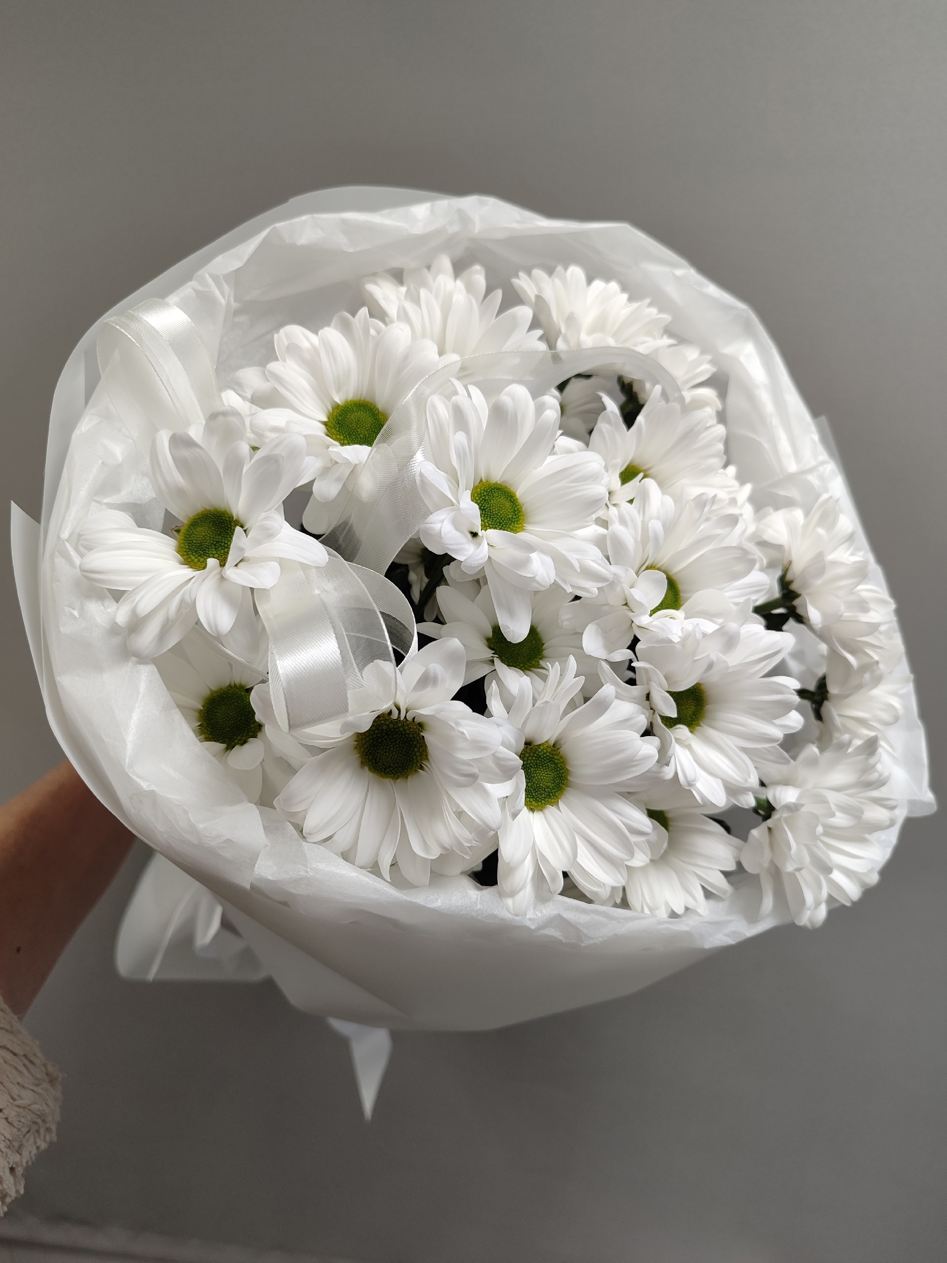 Хризантемы ромашковые