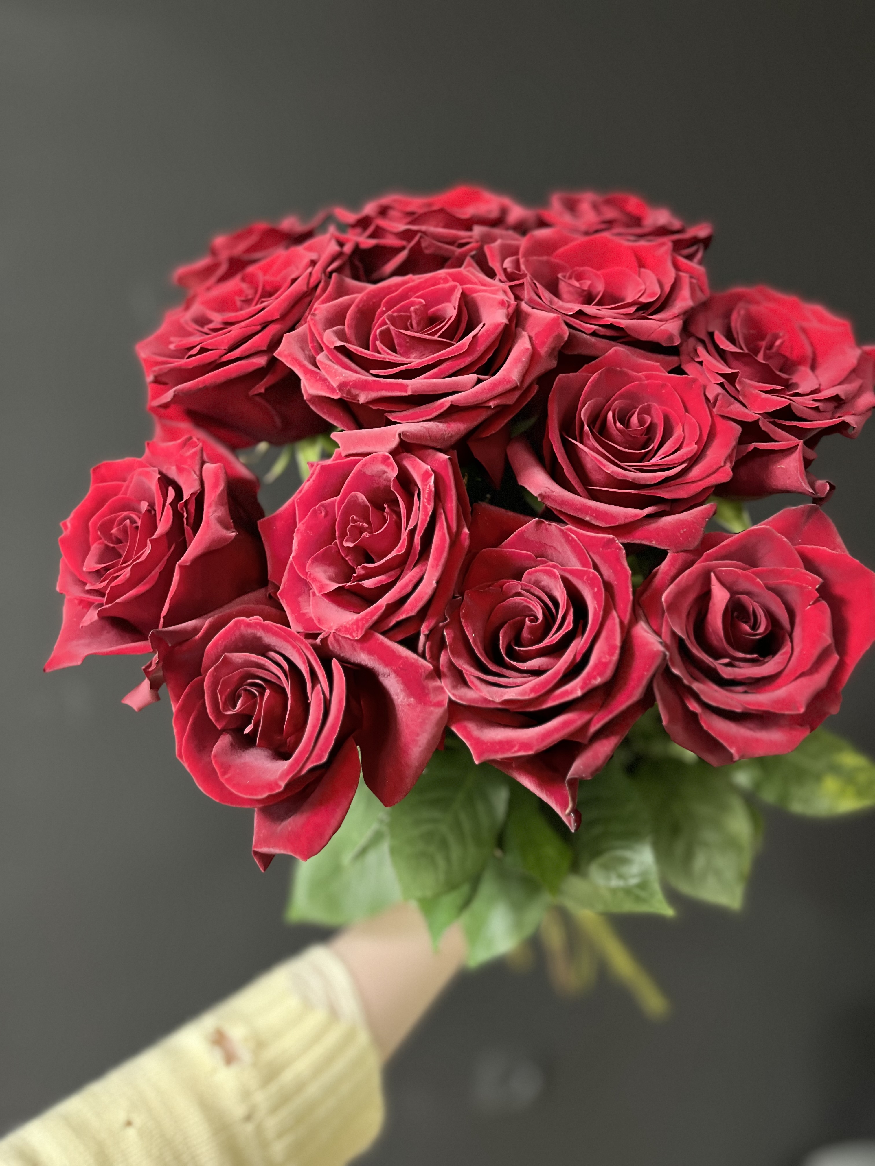 11 бордовых роз на ленте