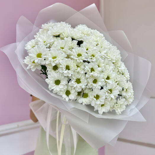 13 ромашковых хризантем