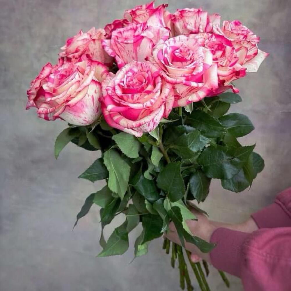 Букет из 15 бело розовых роз