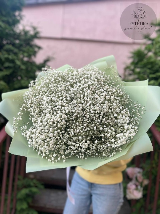 Нежность белого облака