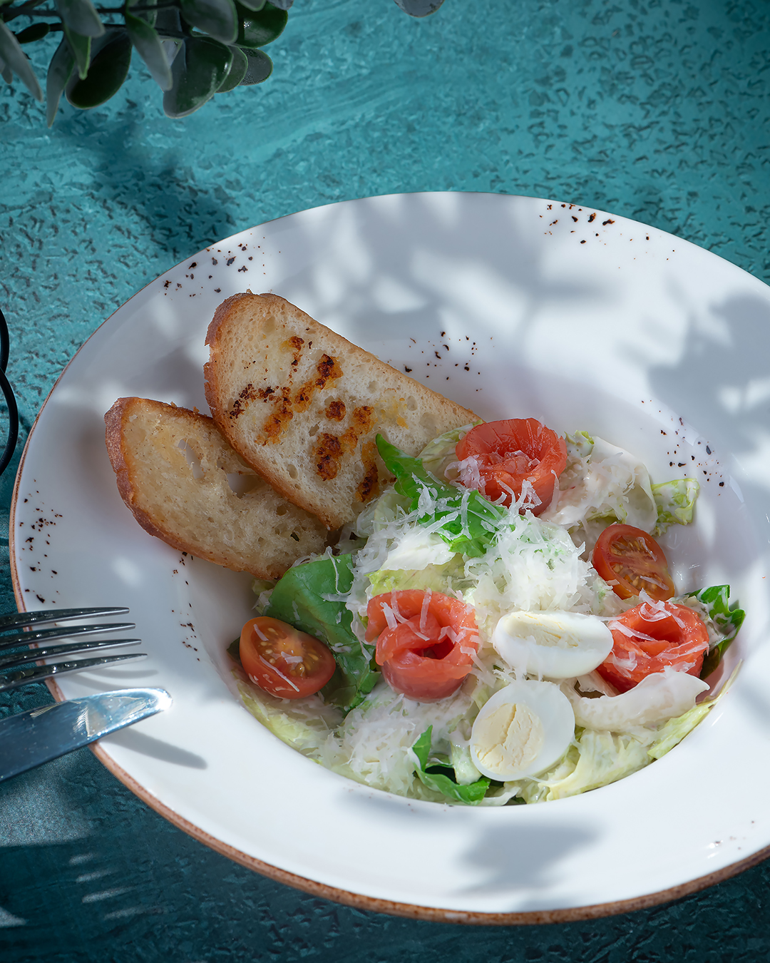 Цезарь с лососем