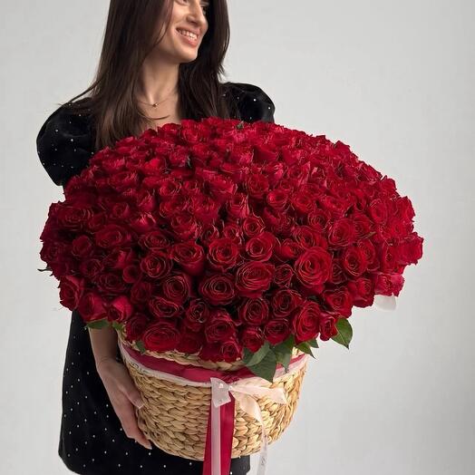151 красная Роза в корзине стильно