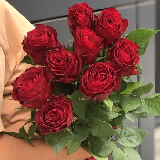 Роза Красная 9 шт Кения 