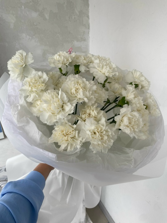 Монобукет 25 белых диантусов