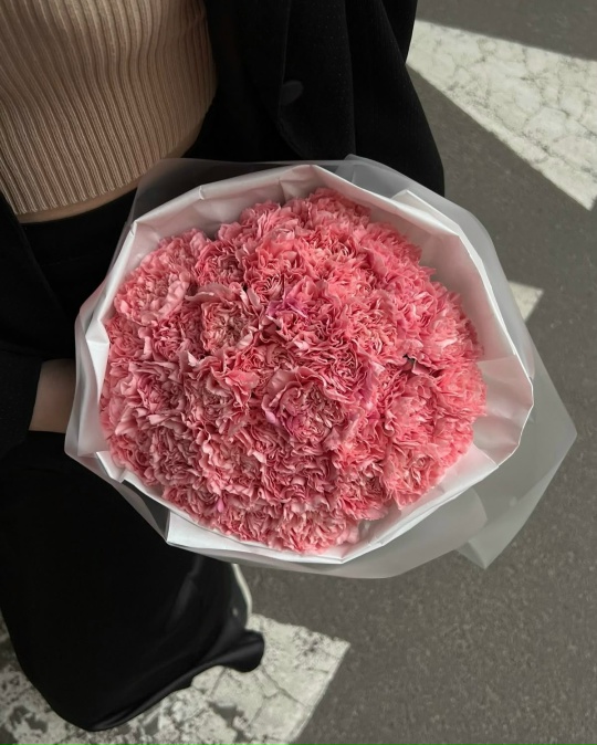 Забудь о нежности. Это - оружие