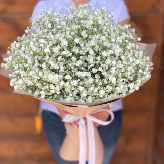 Белая гипсофила