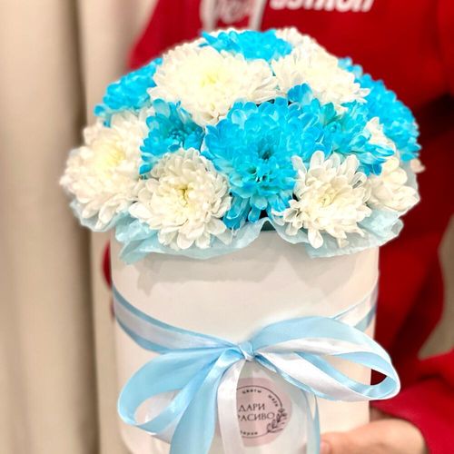 Букет из белых и голубых хризантем в коробке (к1806)