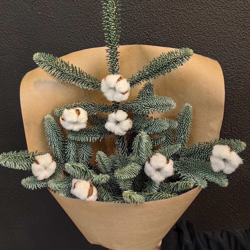 Ароматный нобилис с хлопком в крафте (код 170)