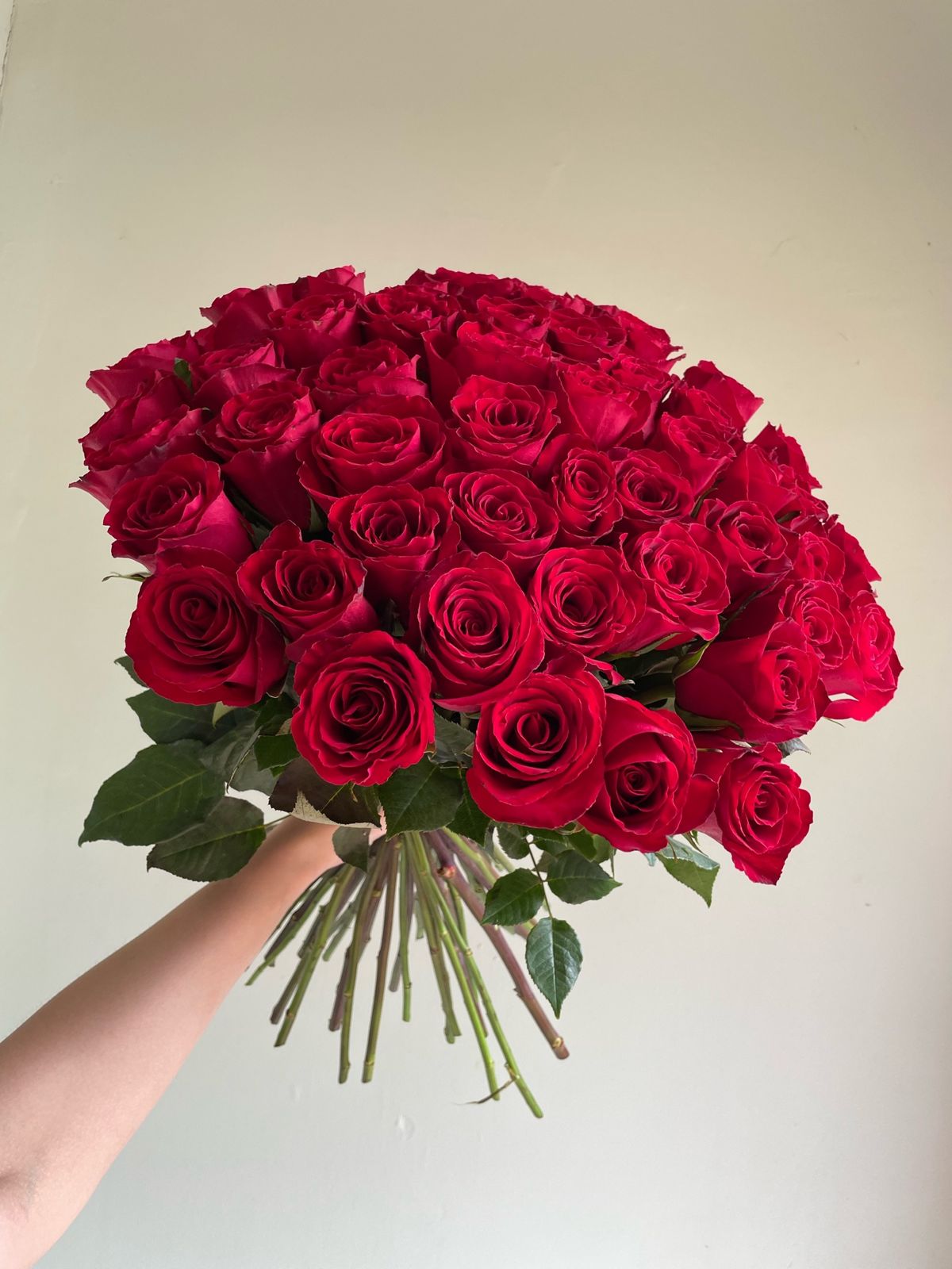 51 Кенийская роза на ленте