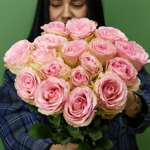 Букет из эквадорских роз 17 штук