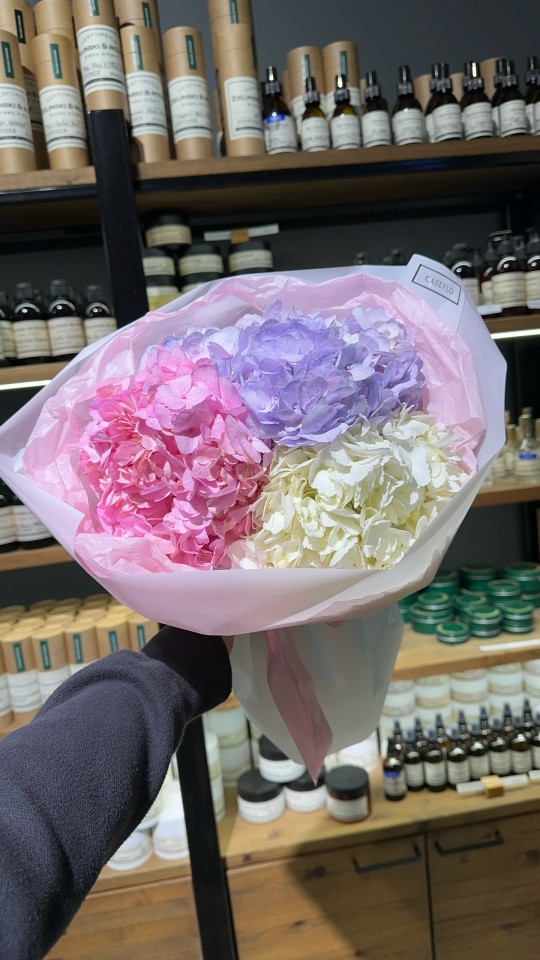 Микс гортензий