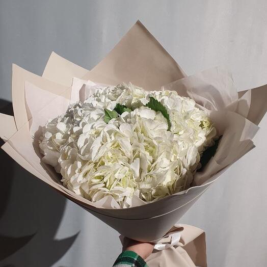 Букет гортензий Облачко