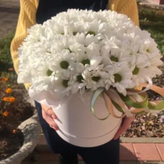 Струны души