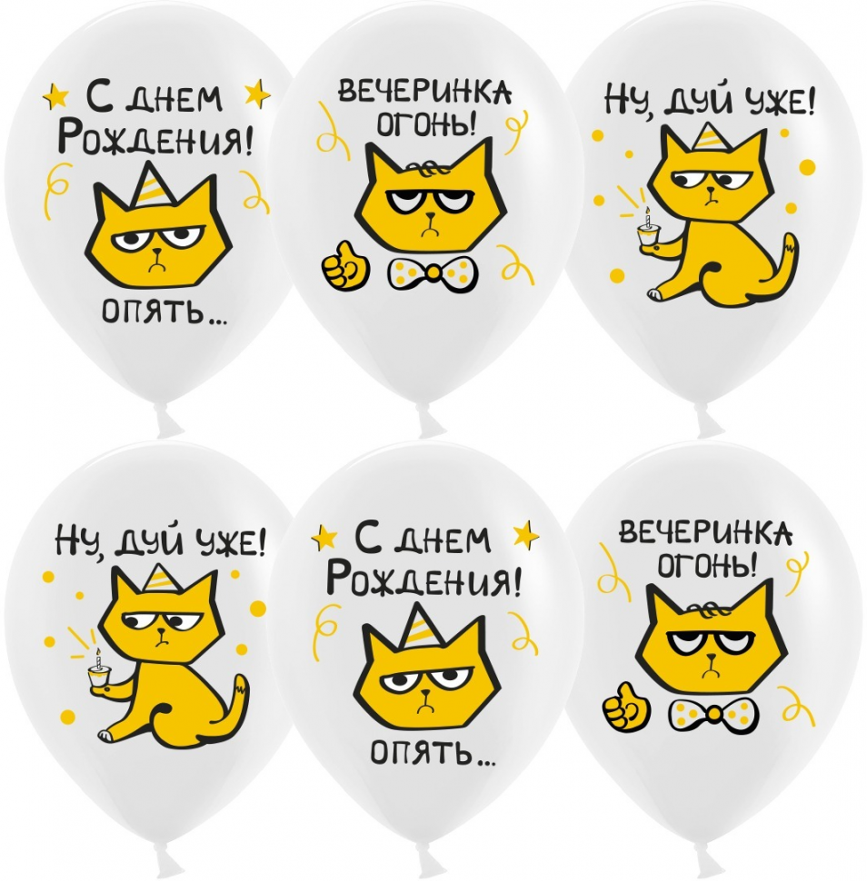 Шар Рыжий Котик (прикол)