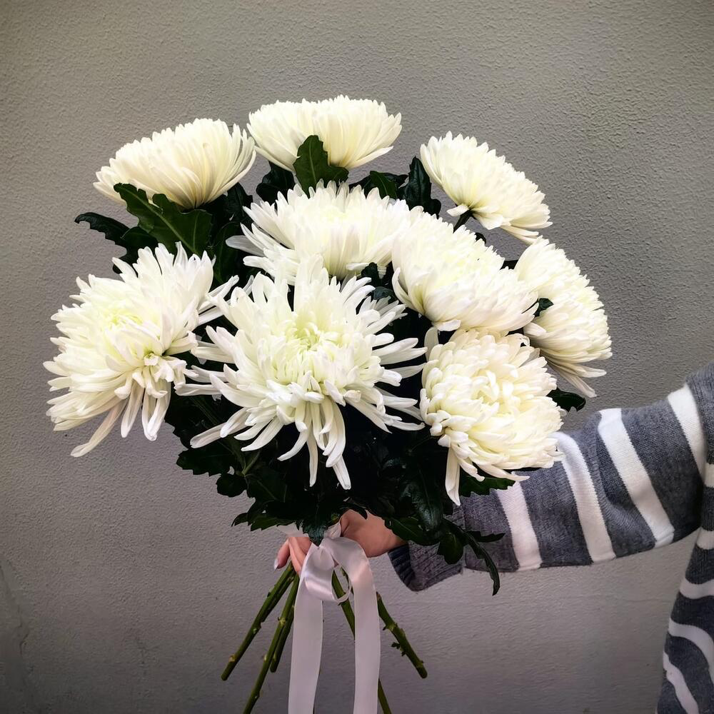 Букет из 9 белых одноголовых хризантем (код 11)