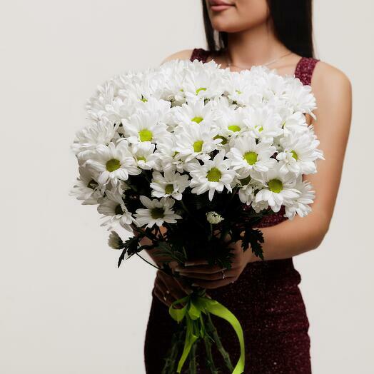 Белоснежные ромашки 