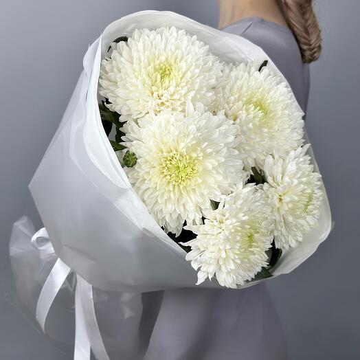 Букет одноголовых хризантем Магнум, 5шт. (М009)