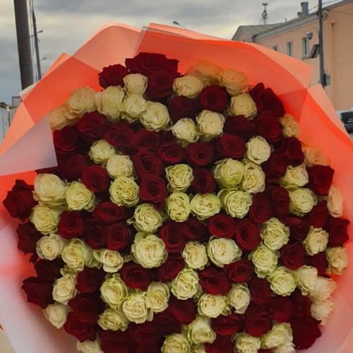 101 роза эквадор 60 см