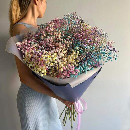 Объёмные гипсофилы радуга