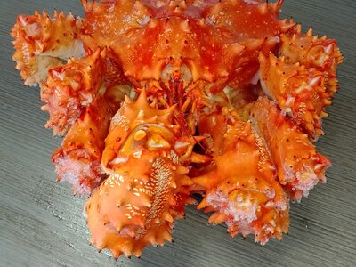 Клешни Колючего краба с устричным соусом