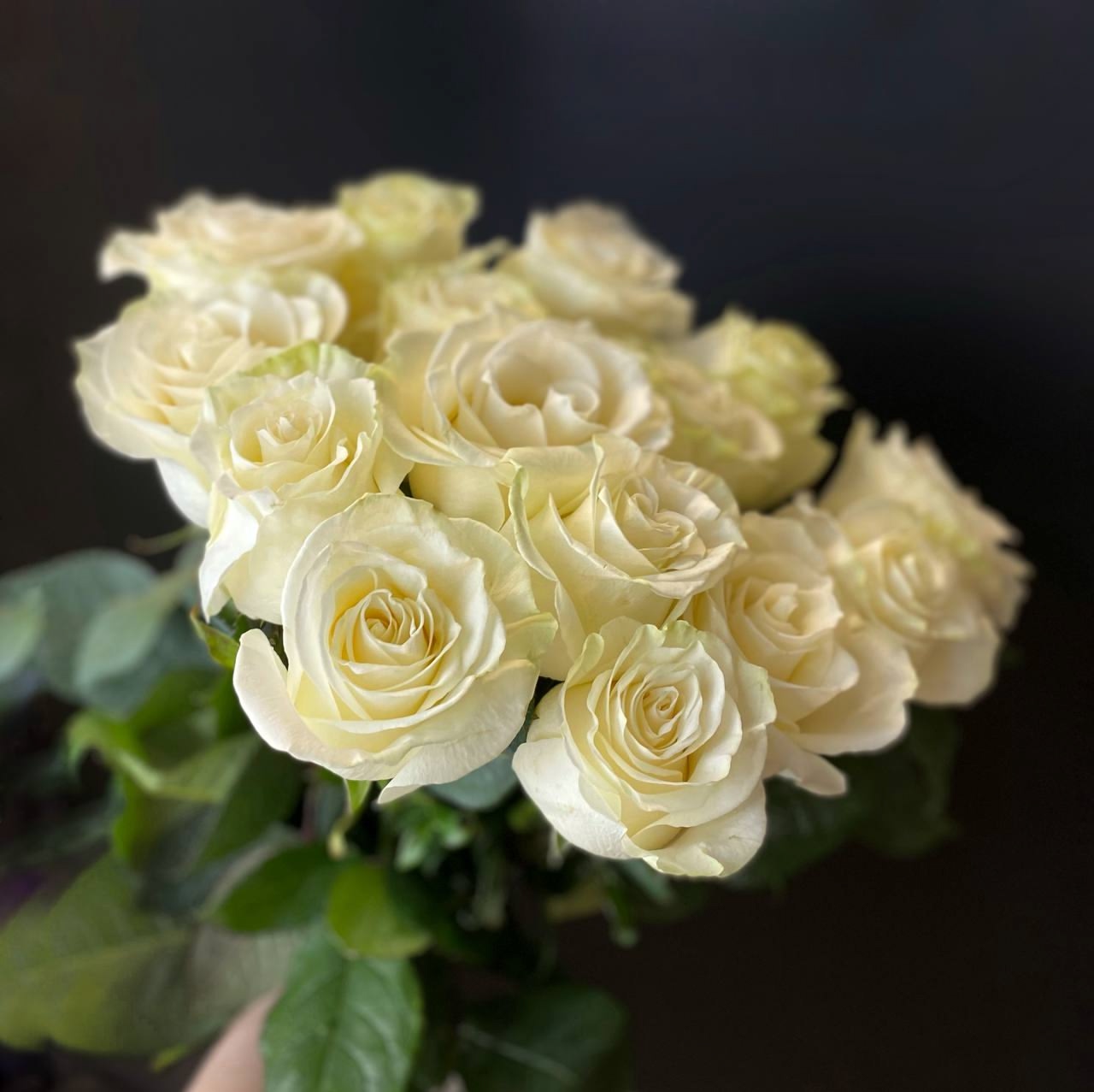 25 белых роз на ленте