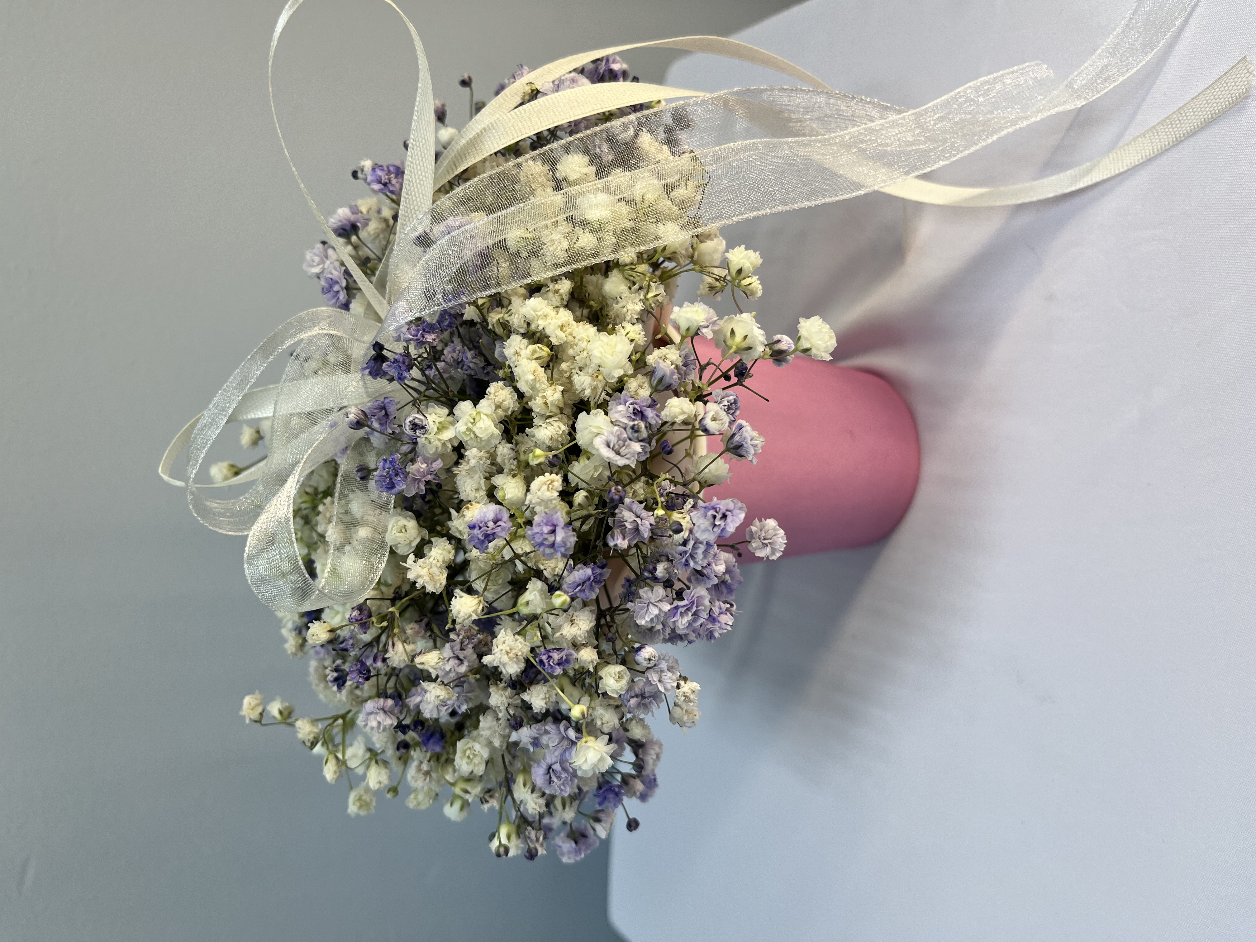 Гипсофила с стаканчике