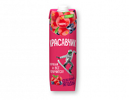 Морс 1л