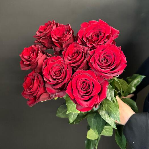 Классич/букет из 9красных Эквадорских роз