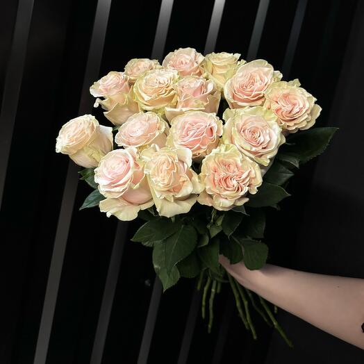 Букет из роз под ленту (15 шт)