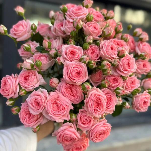 Монобукет из 7 кустовых пионовидных роз на ленте!