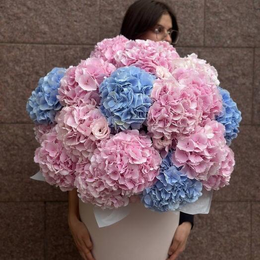 Цветы в коробке гортензия премиум 