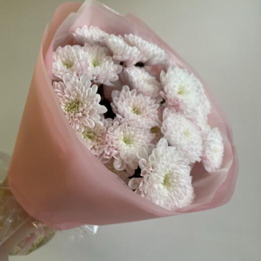 Моно из хризантемы