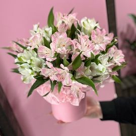 11 альстромерий в коробке