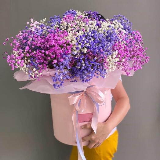 Гипсофила в коробке