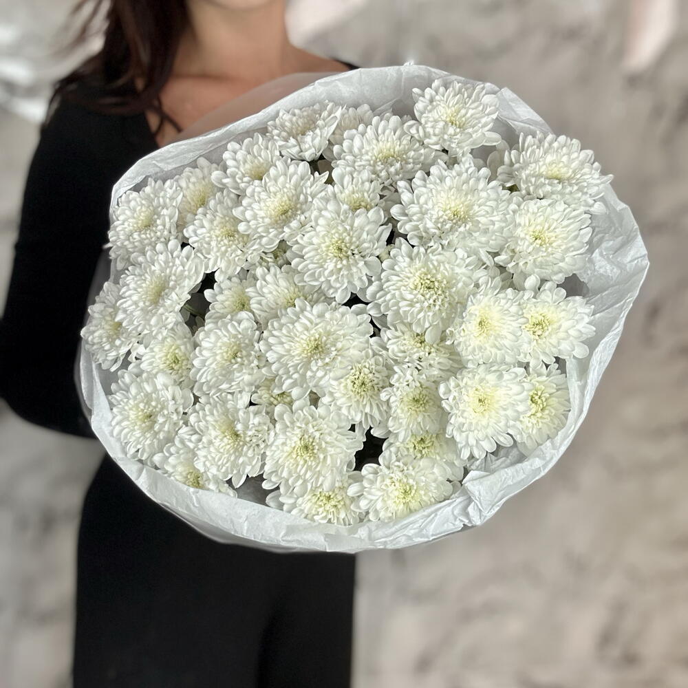Облако пушистых хризантем