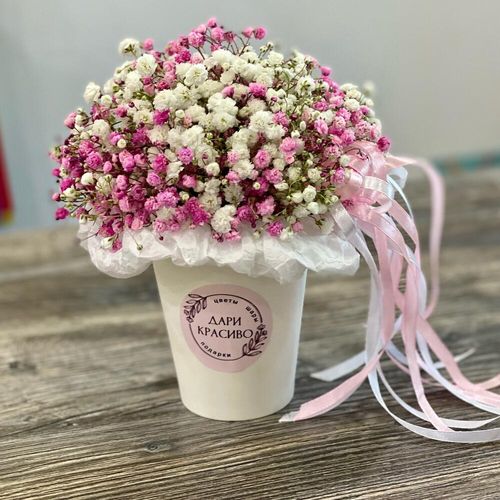Букет из гипсофилы в стаканчике