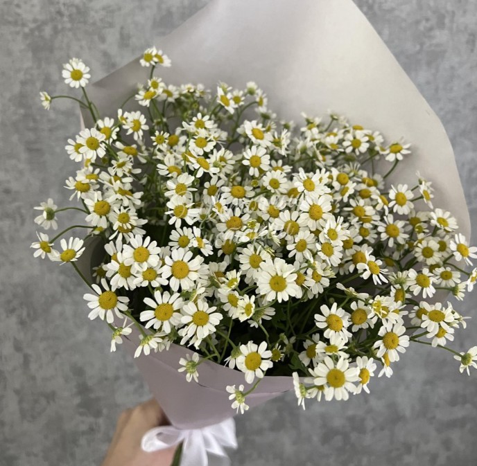 Букет «Ромашковый луг»
